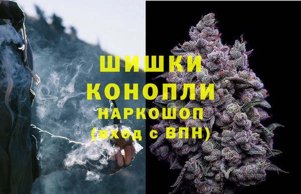 СК Россошь