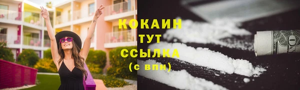 стафф Богородицк