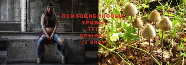 СК Россошь