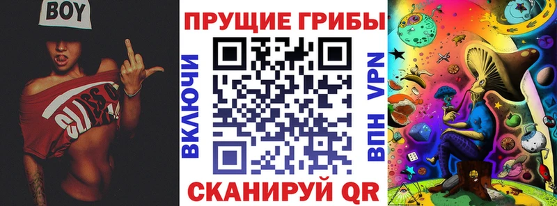 где найти наркотики  Будённовск  Галлюциногенные грибы Psilocybine cubensis 