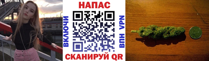 Бошки марихуана Ganja  Будённовск 